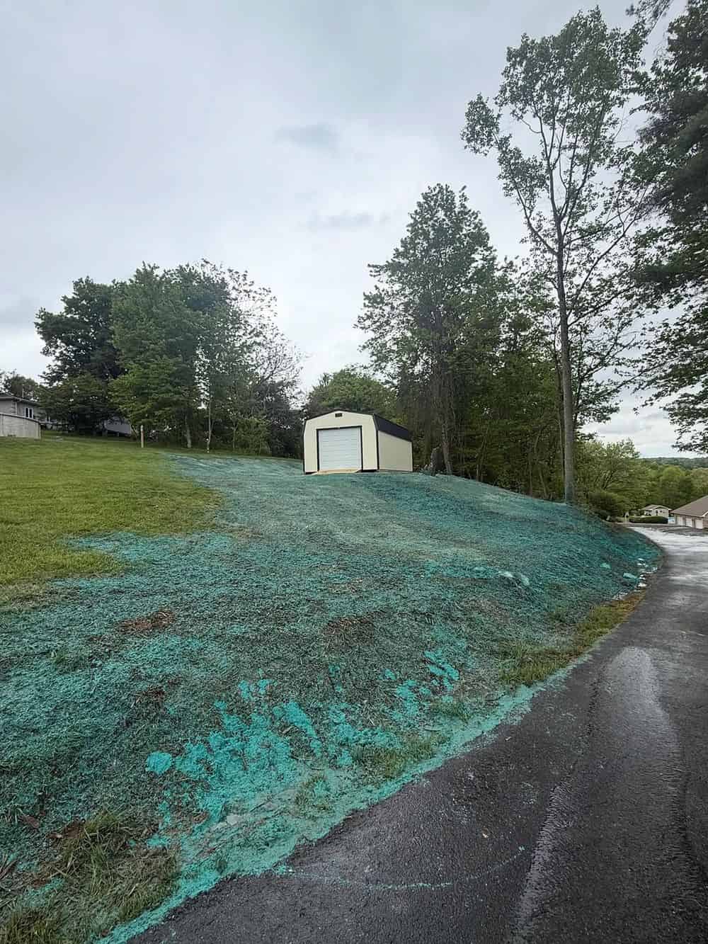 Hydroseeding image
