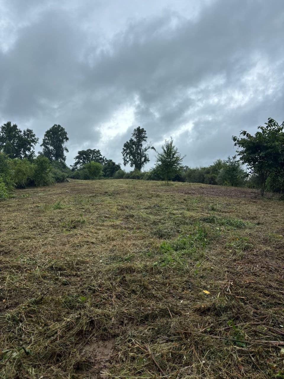 Get Your Hunting Fields Ready Before Season Hits