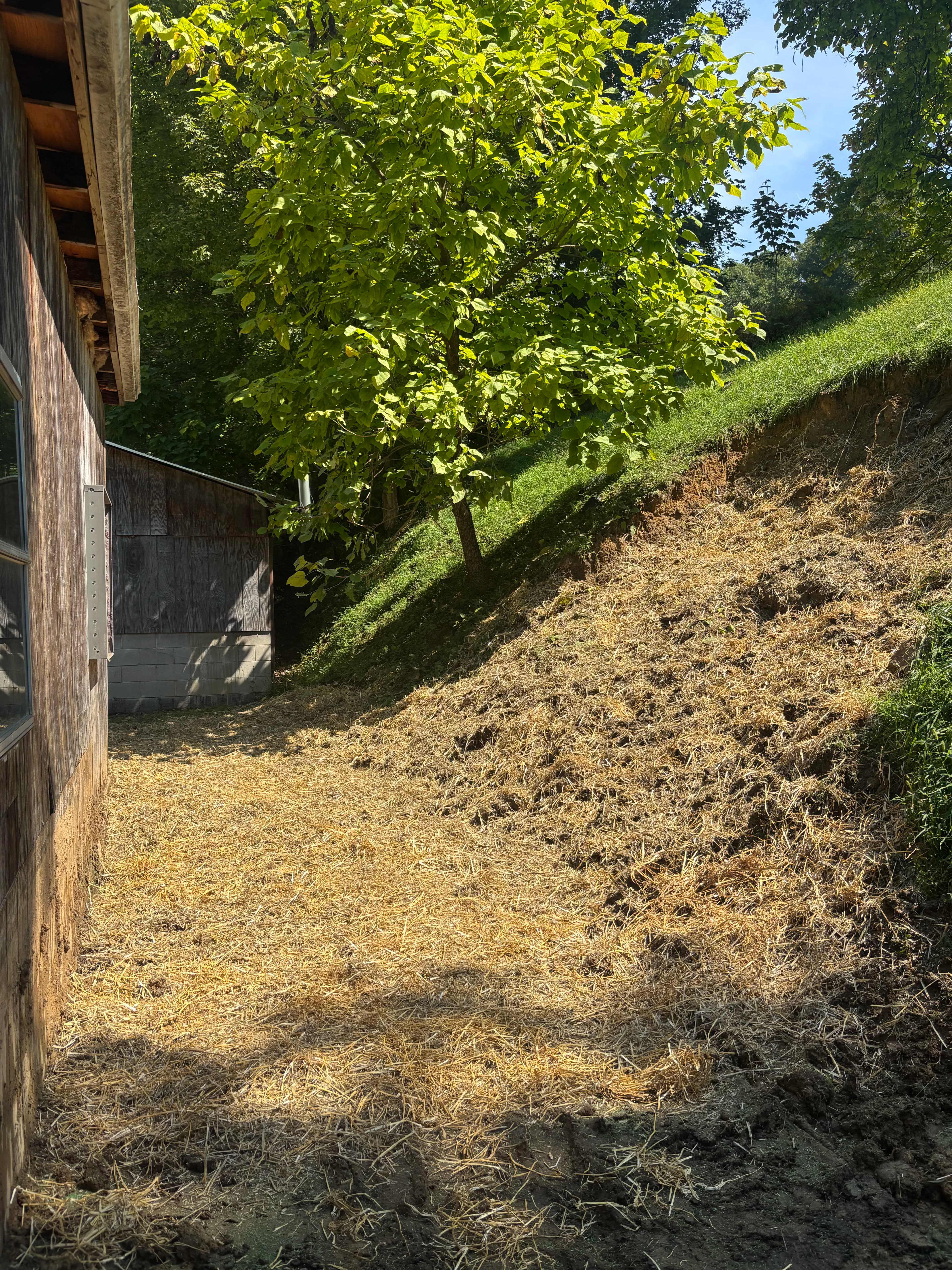 Project Hillside Erosion Control and Final Grade Work Done Right image