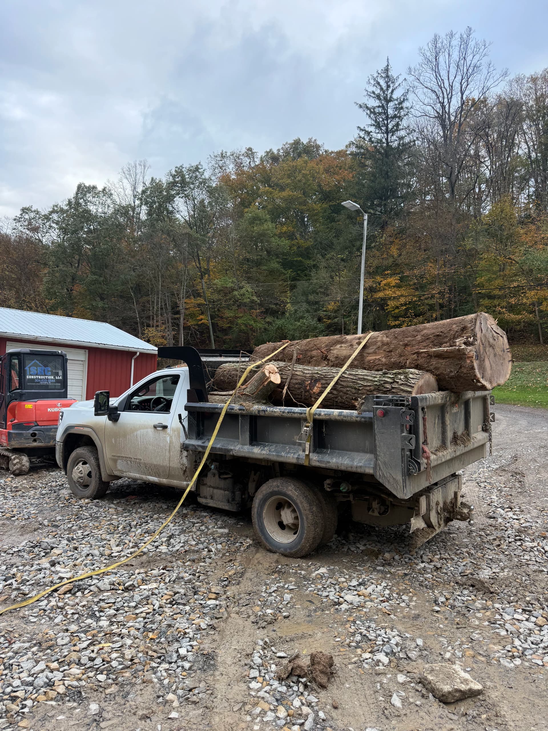 Gallery photos for 4 Large Fallen Trees Cleared From a Creek and Field: Image #2