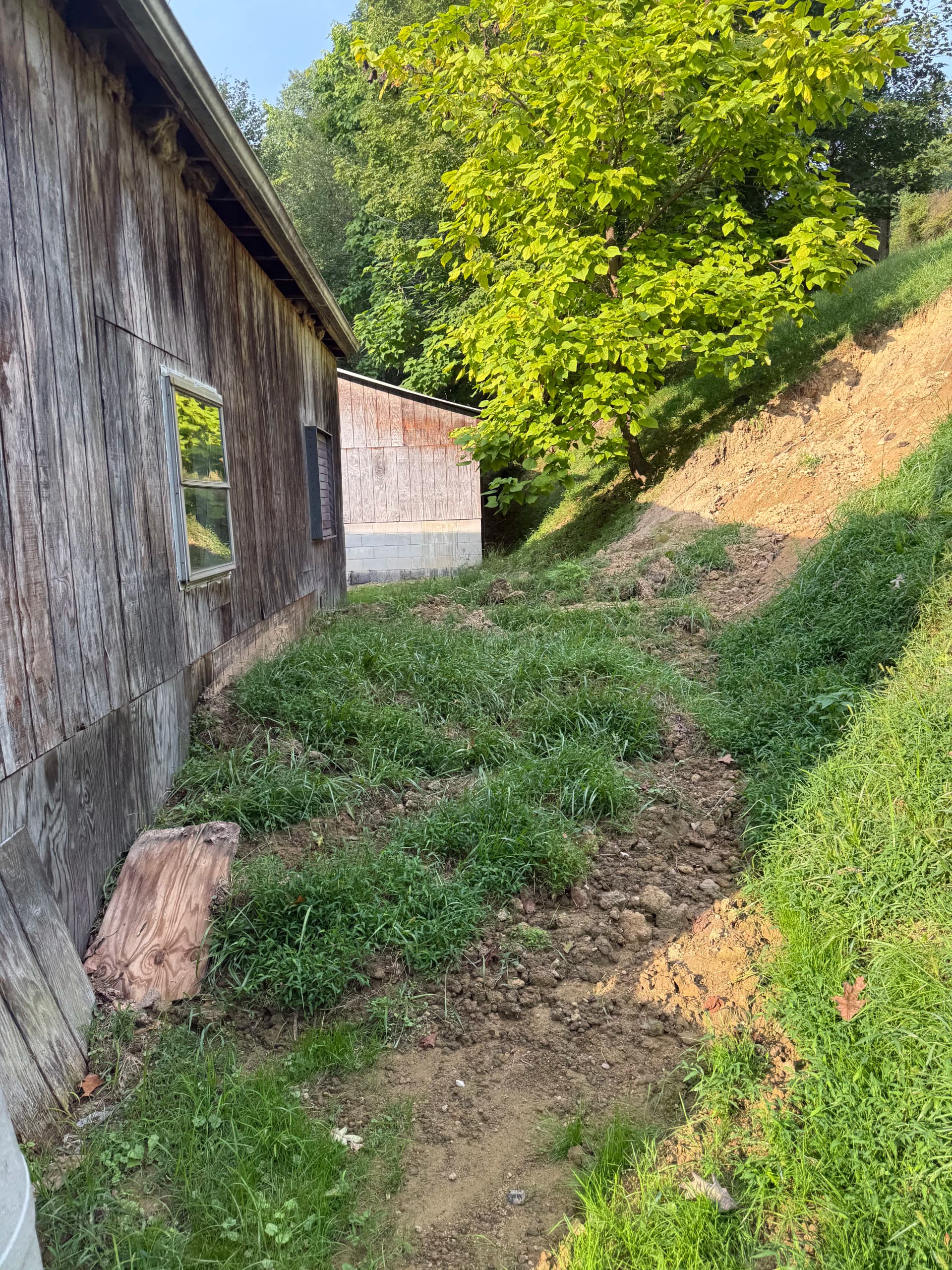 Gallery photos for Hillside Erosion Control and Final Grade Work Done Right: Image #1