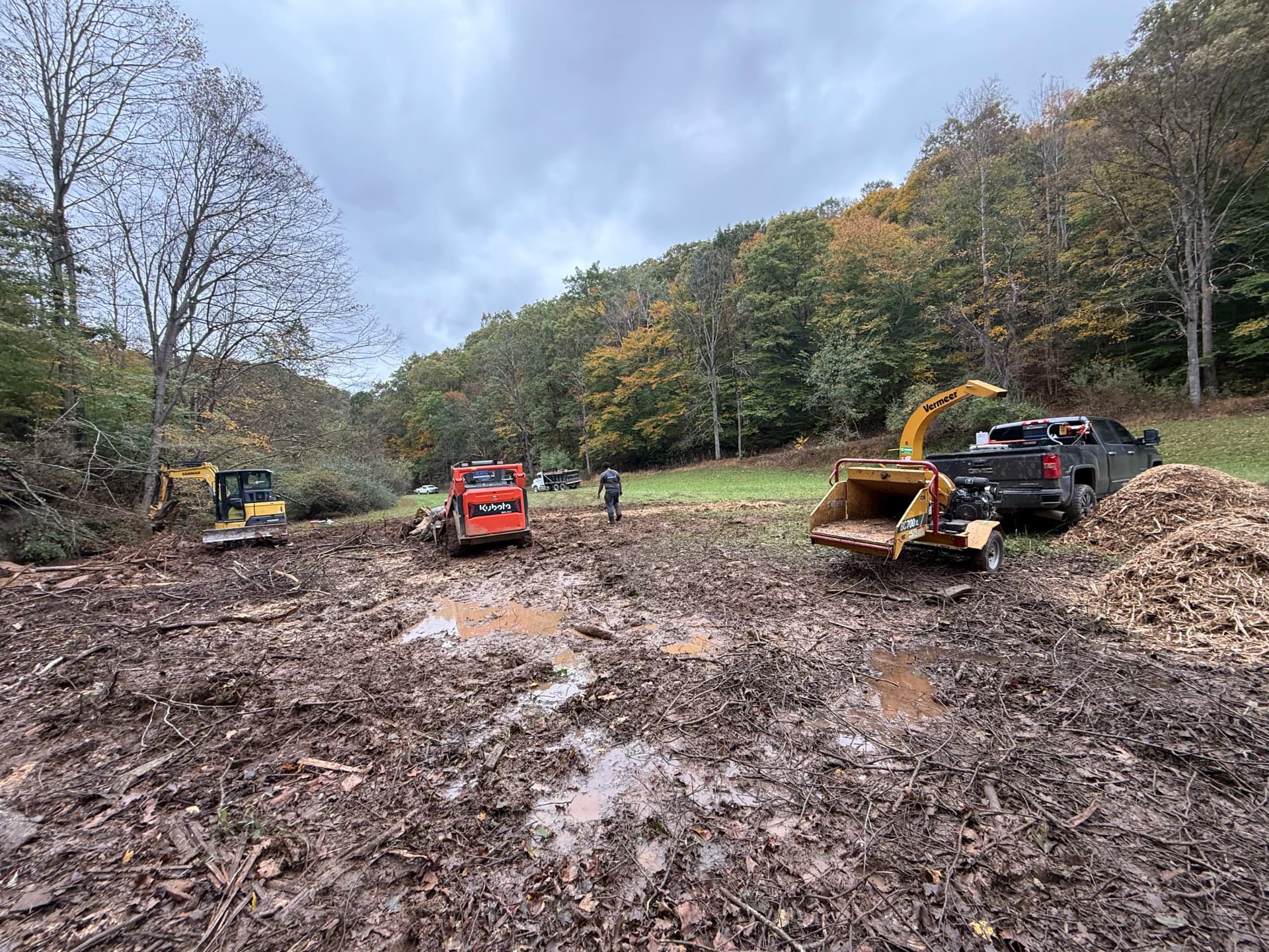 Gallery photos for 4 Large Fallen Trees Cleared From a Creek and Field: Image #1