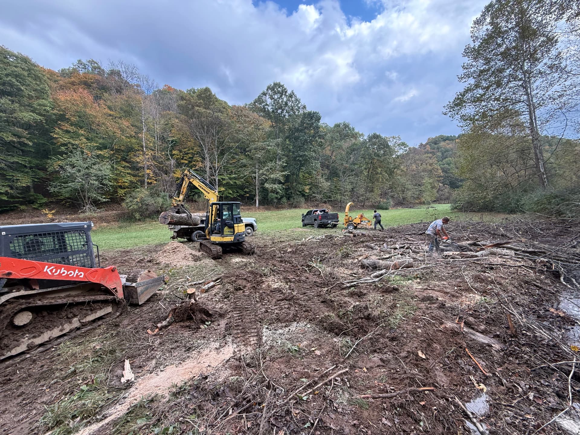 4 Large Fallen Trees Cleared From a Creek and Field image
