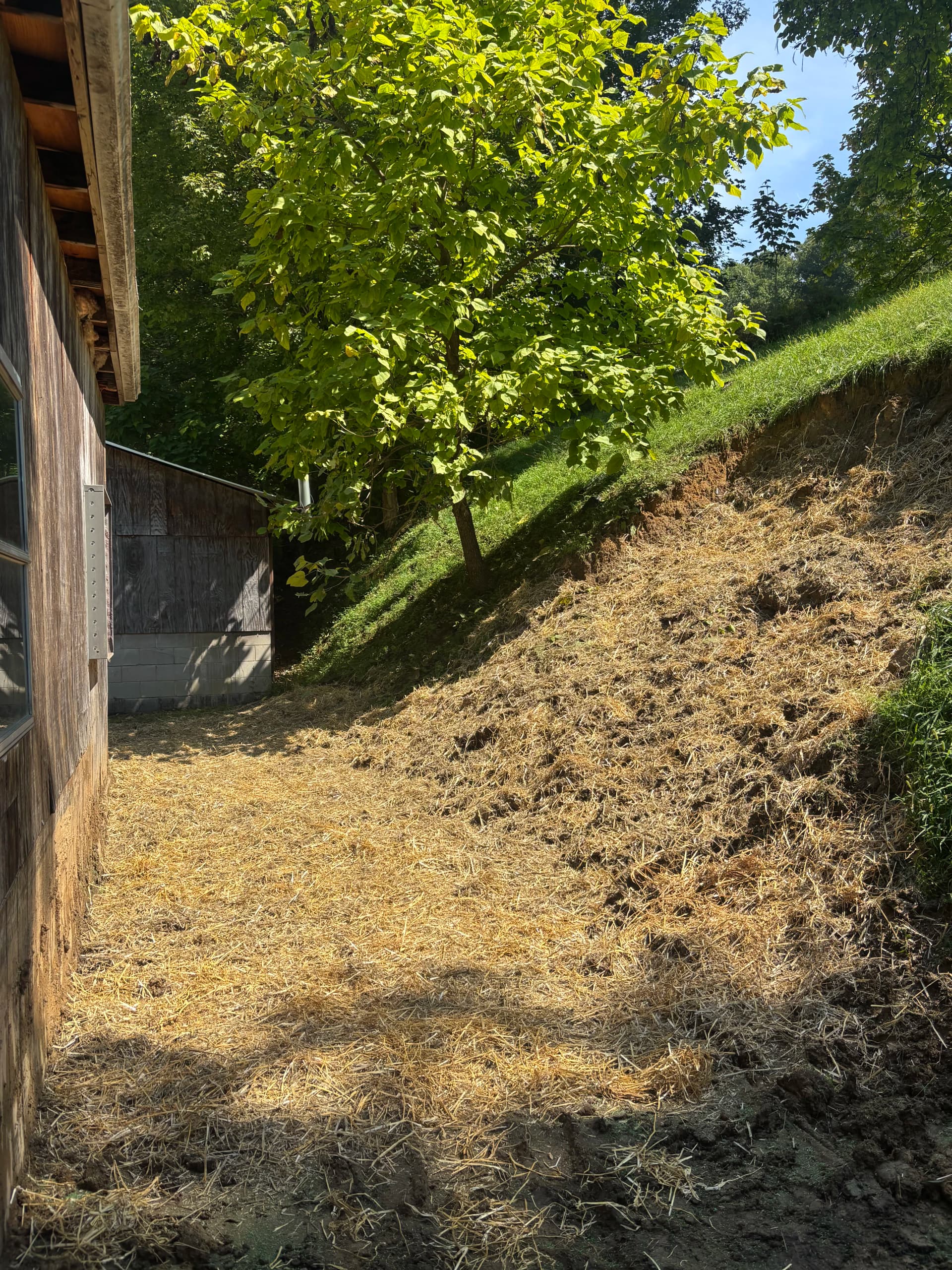 Hillside Erosion Control and Final Grade Work Done Right image